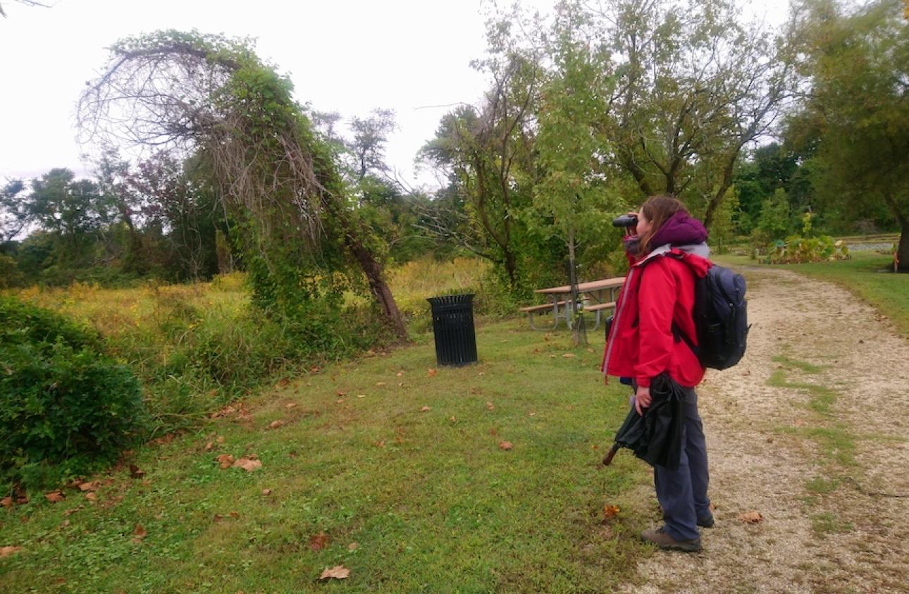 Wetlands at Foggy Bottom